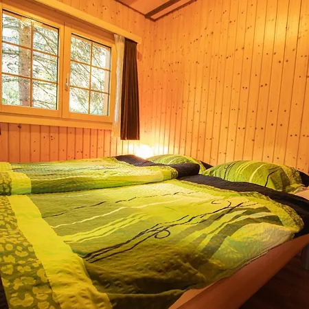 Residenz Edelweiss Saas322 度假居 *