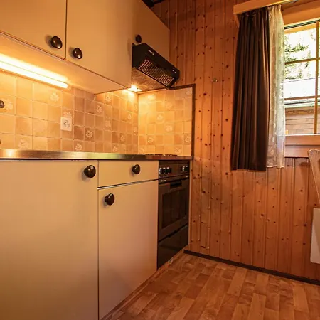 Residenz Edelweiss Saas322 度假居 *